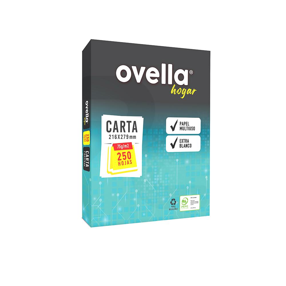 Papel Fotocopia Carta Resma 250 hojas